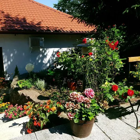 Alijando * Dzierzazno Wielkie