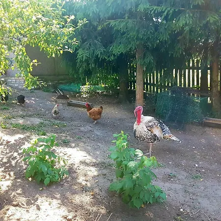Prázdninový areál Alijando
